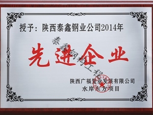 先進企業(yè)—廣福置業(yè)水岸東方